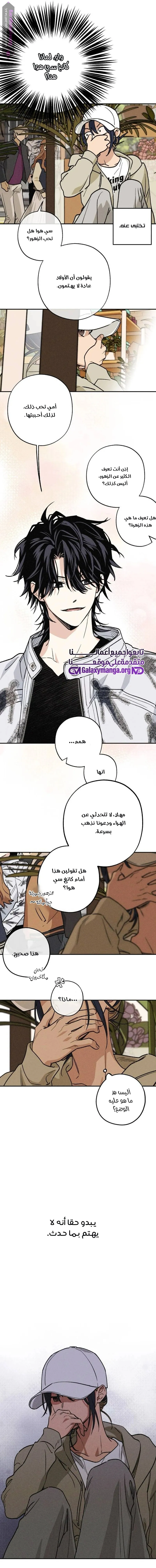 الصفحة 15