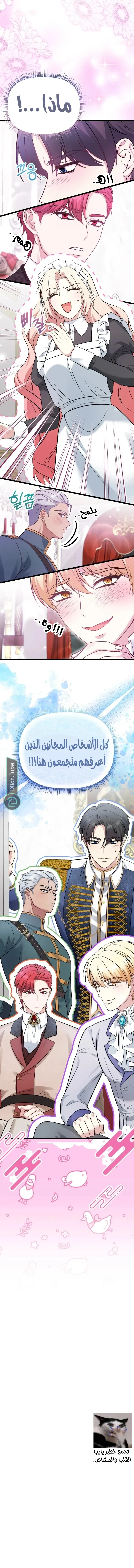 الصفحة 19