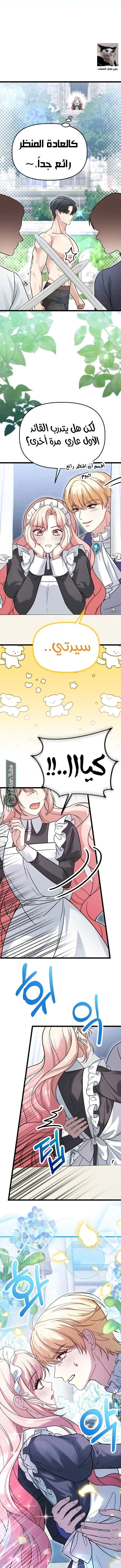 الصفحة 10