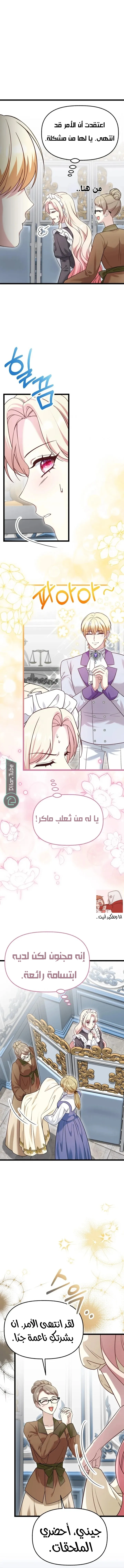 الصفحة 13