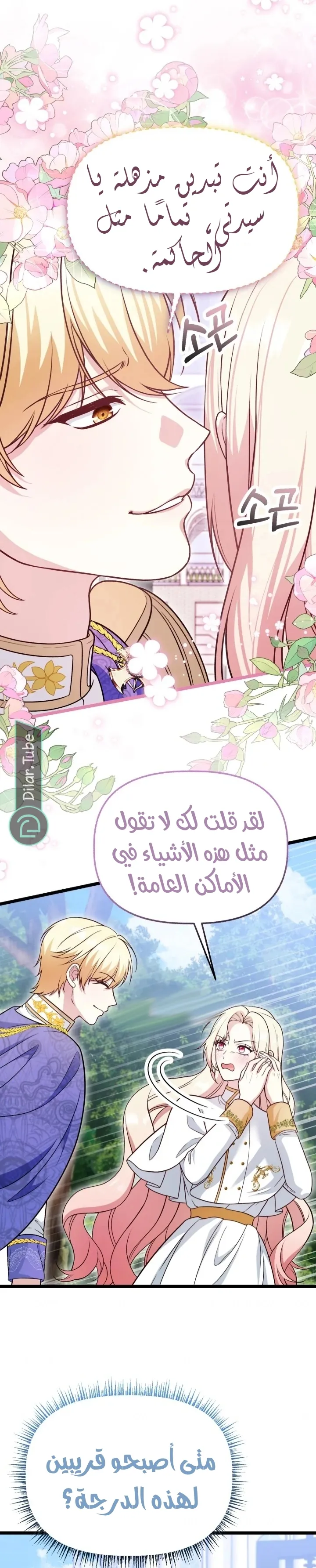 الصفحة 11