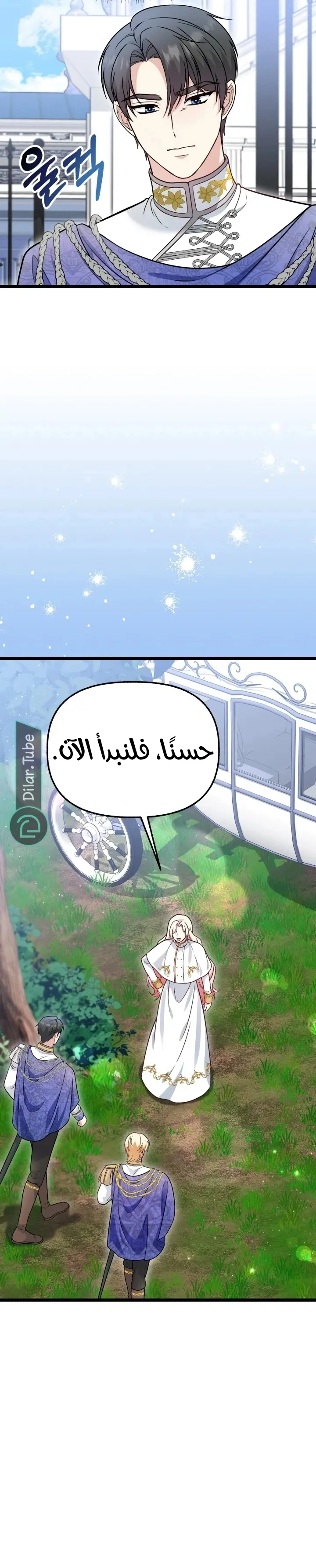 الصفحة 12