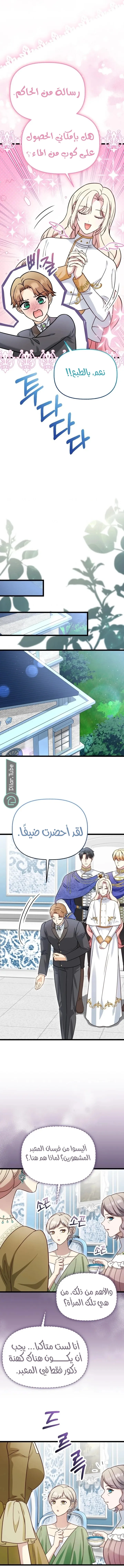 الصفحة 15
