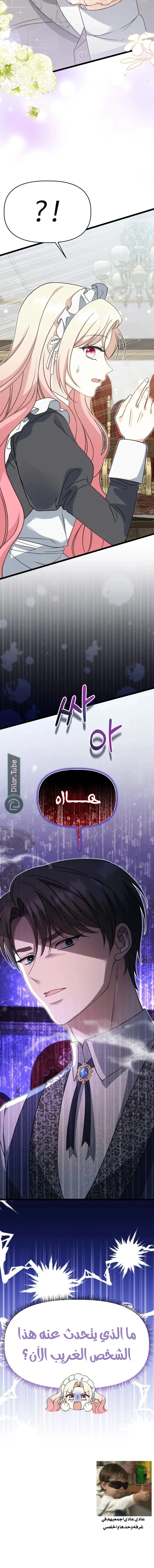 الصفحة 17