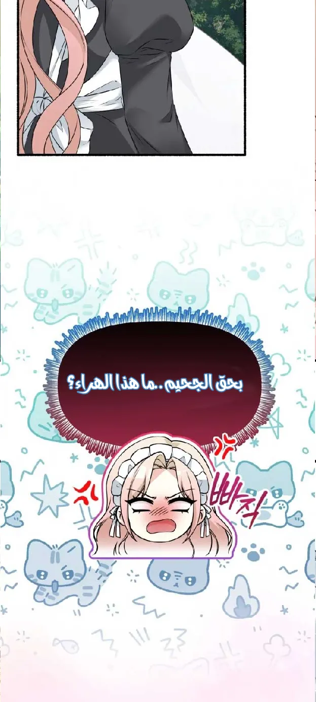 الصفحة 25