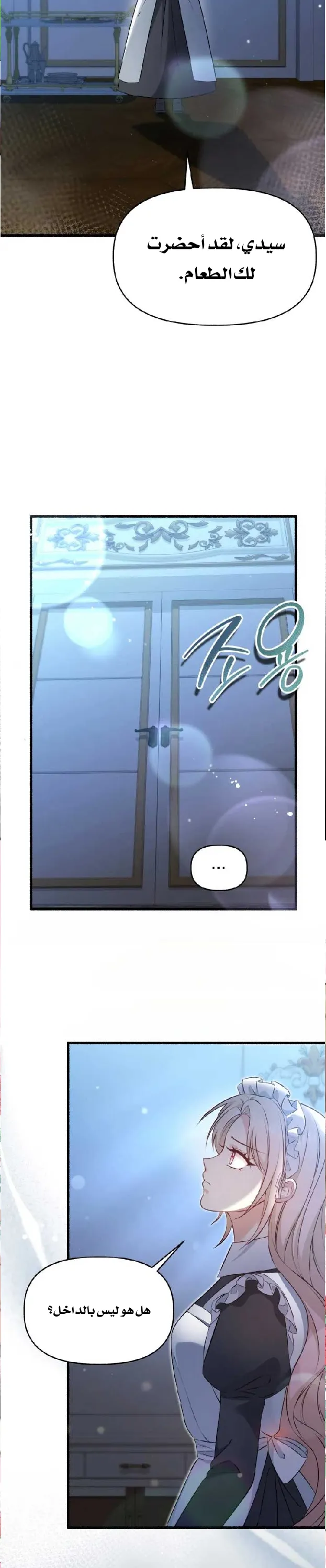 الصفحة 27