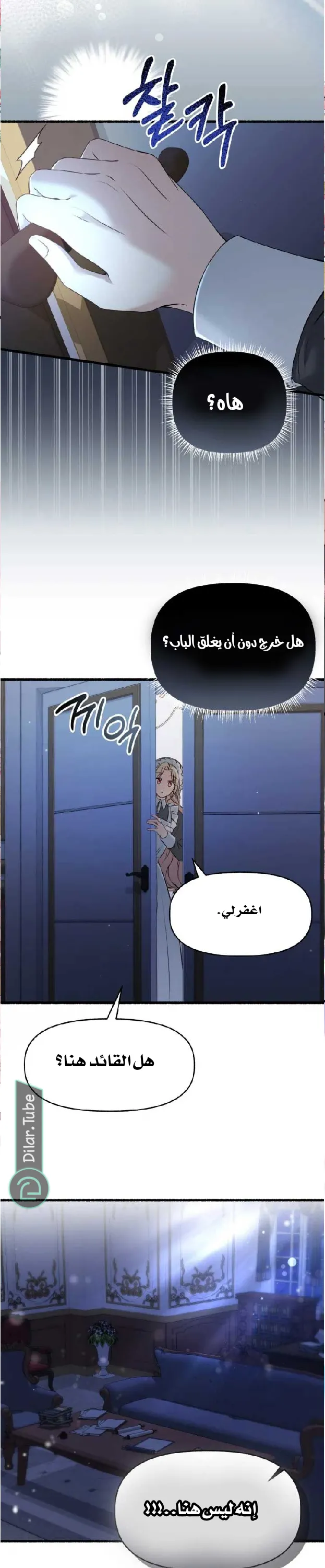 الصفحة 28