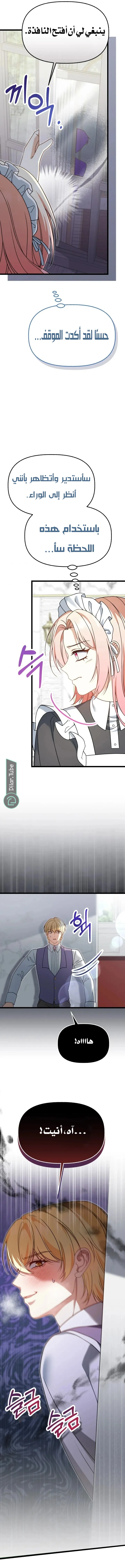 الصفحة 13