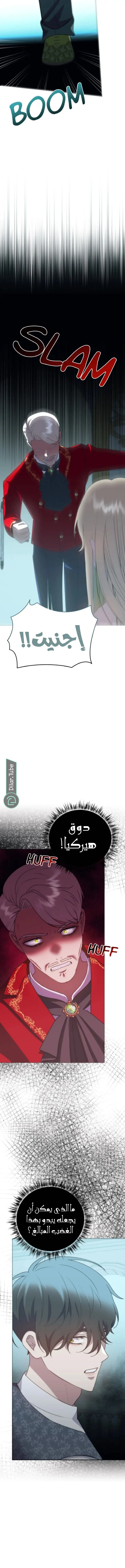 الصفحة 14