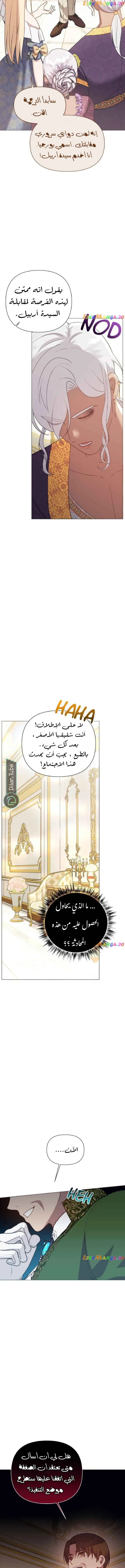 الصفحة 13