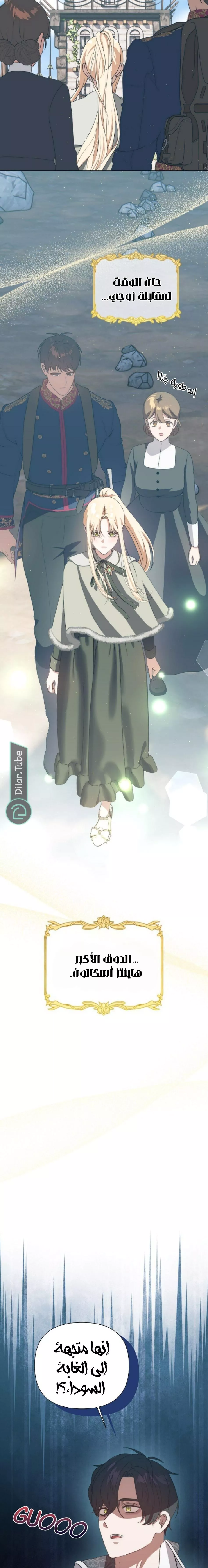 الصفحة 10