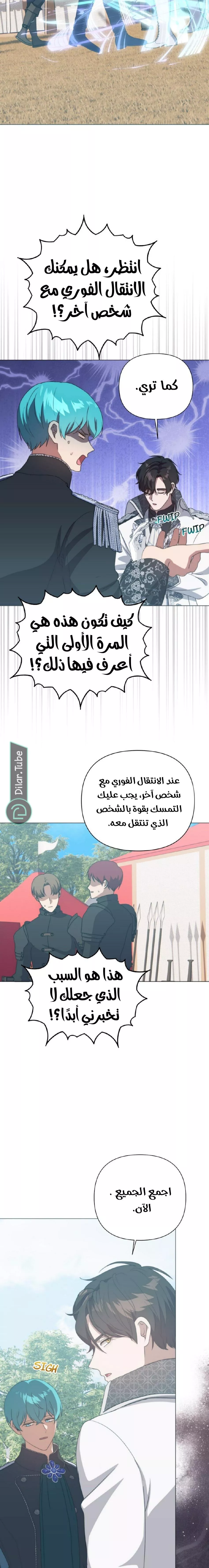 الصفحة 13