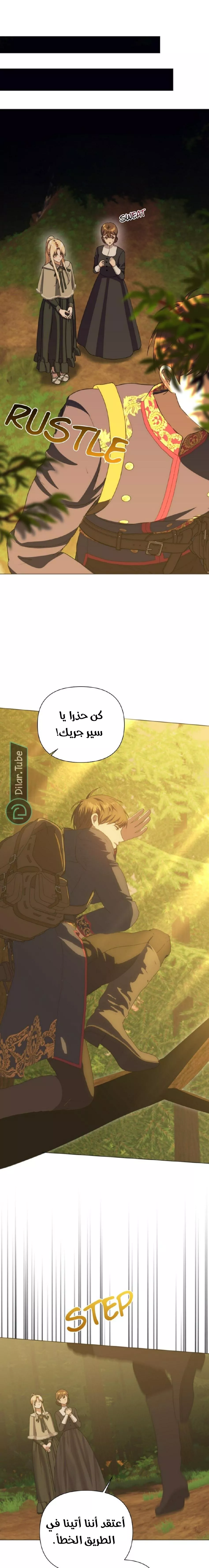 الصفحة 15
