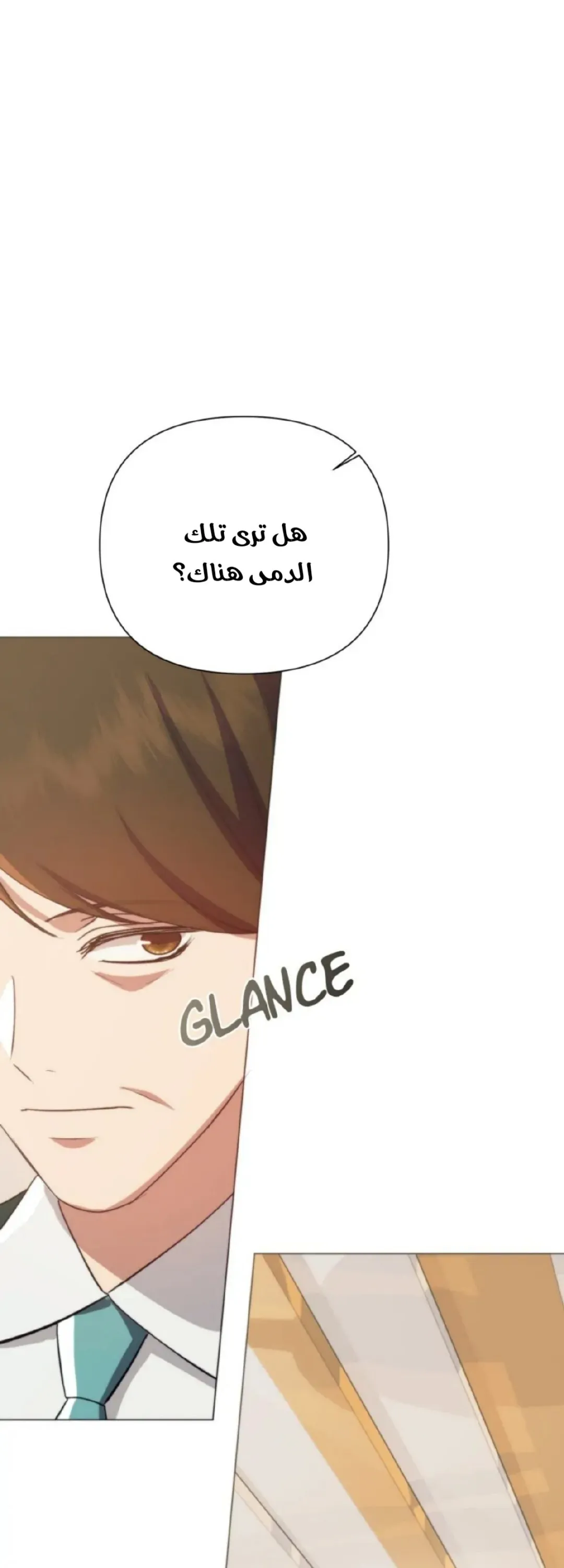 الصفحة 43