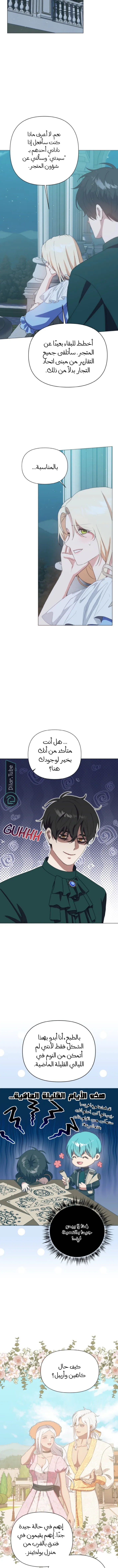 الصفحة 8