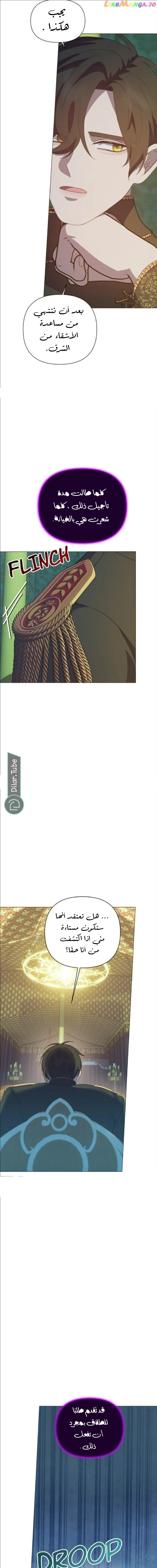 الصفحة 13