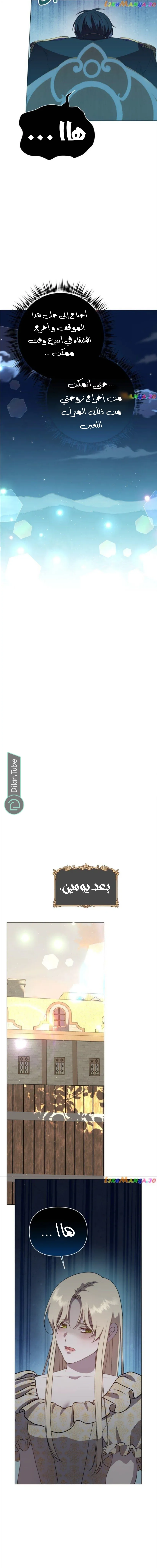 الصفحة 14