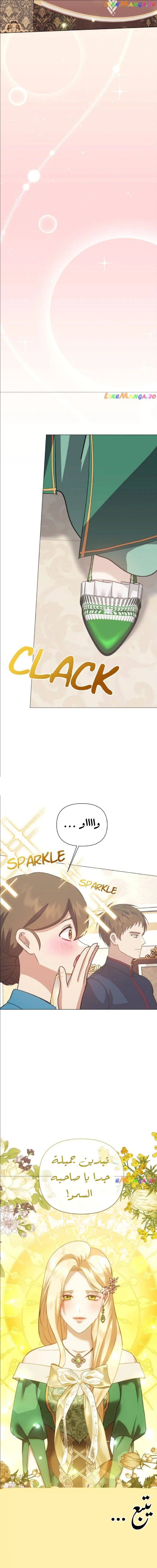 الصفحة 17