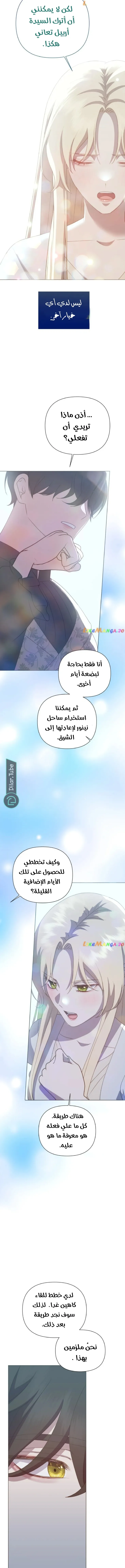 الصفحة 13