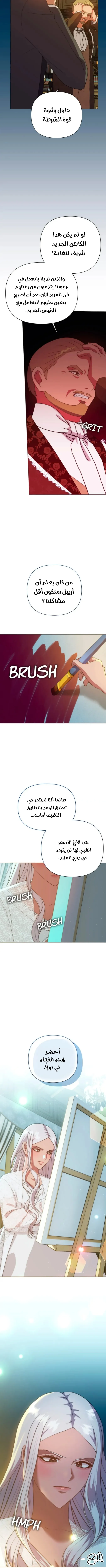 الصفحة 13