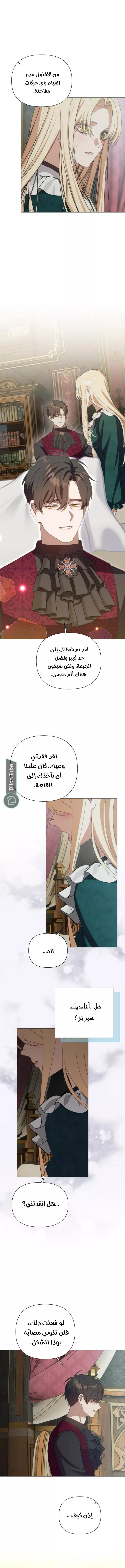 الصفحة 8
