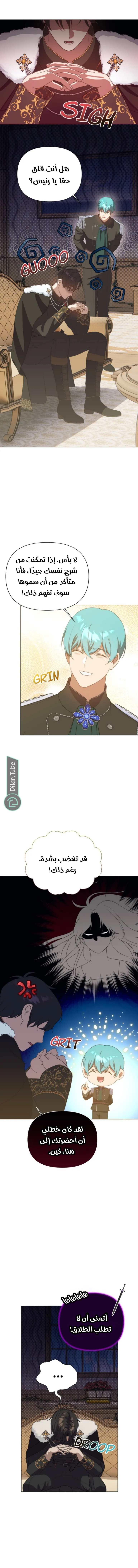 الصفحة 8