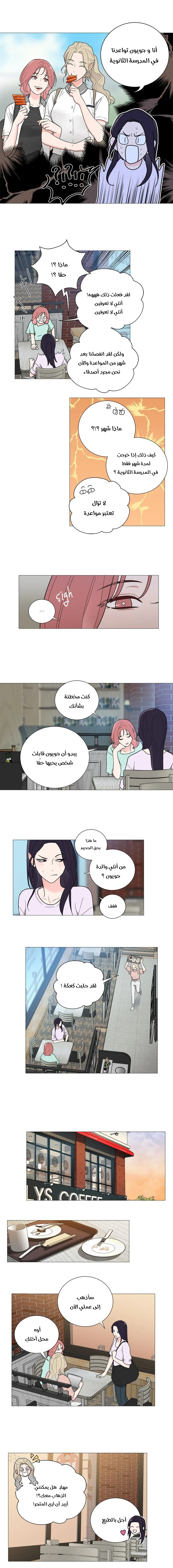 الصفحة 8