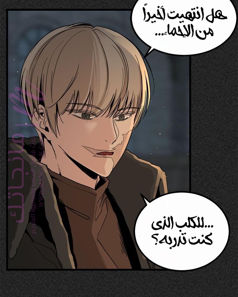 الصفحة 17