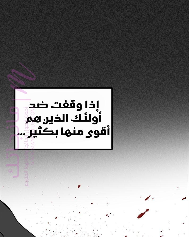 الصفحة 41