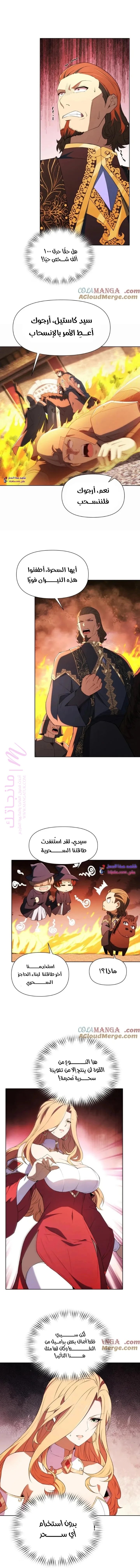 الصفحة 7