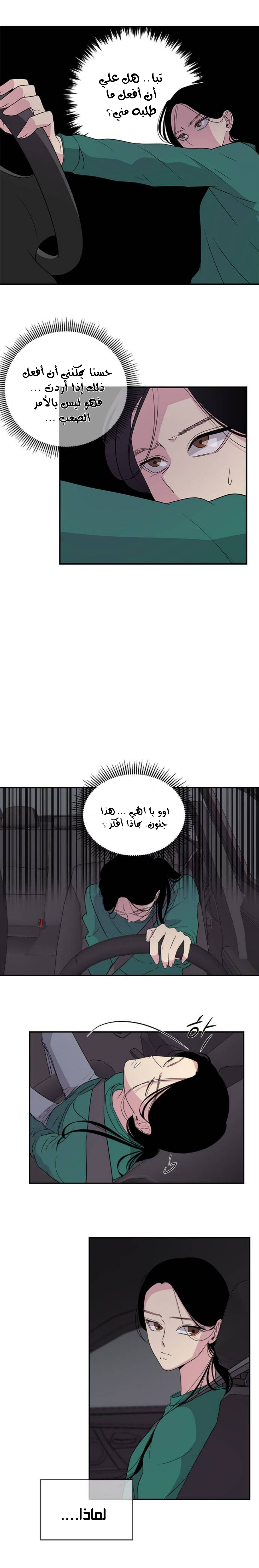 الصفحة 13