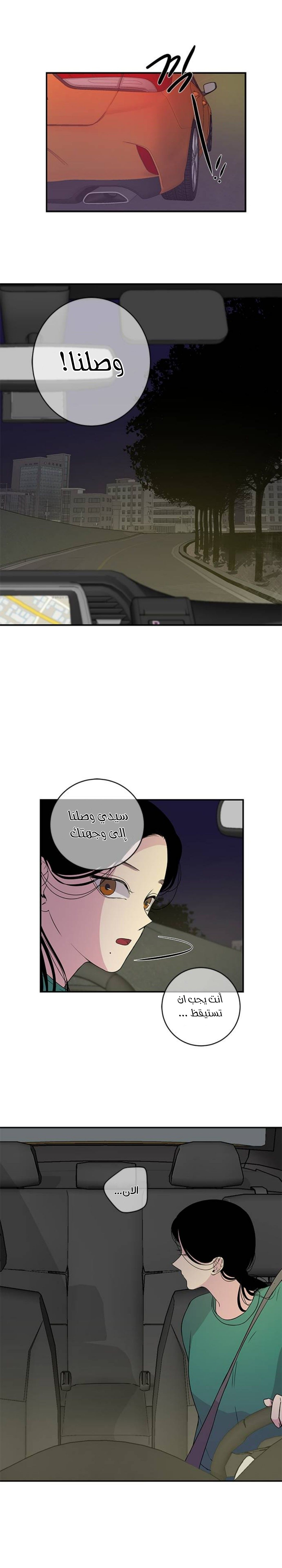 الصفحة 19