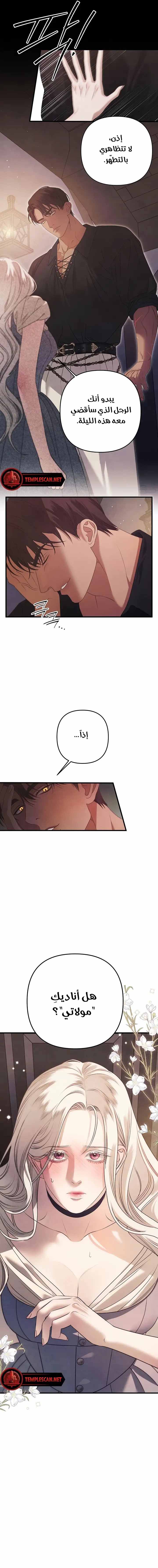 الصفحة 15