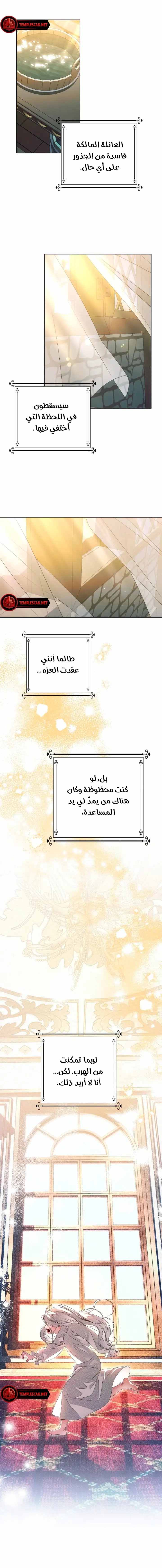 الصفحة 13