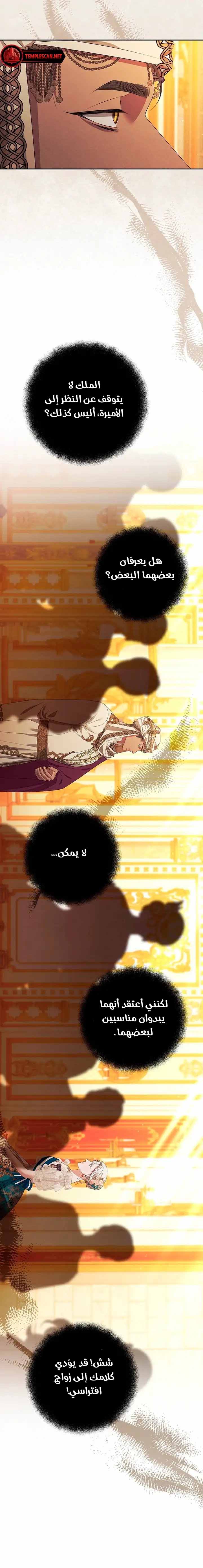 الصفحة 20