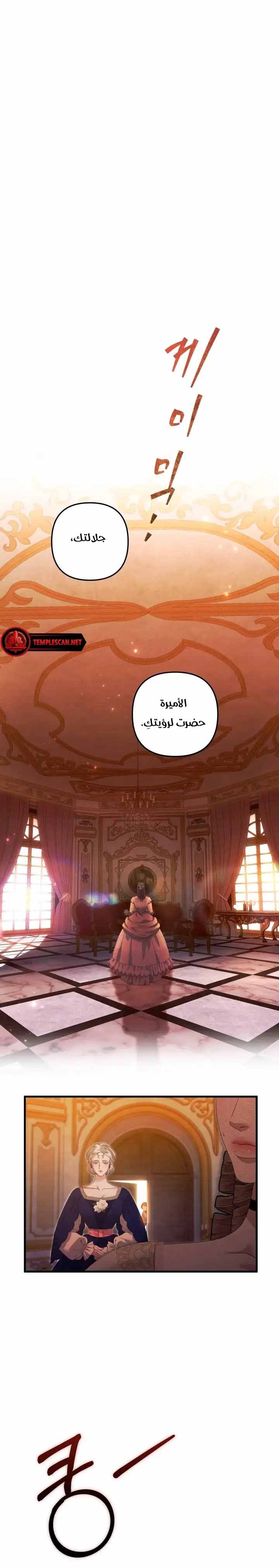 الصفحة 17