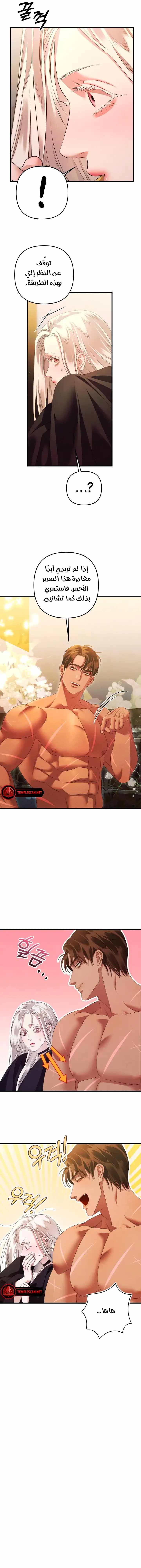 الصفحة 6