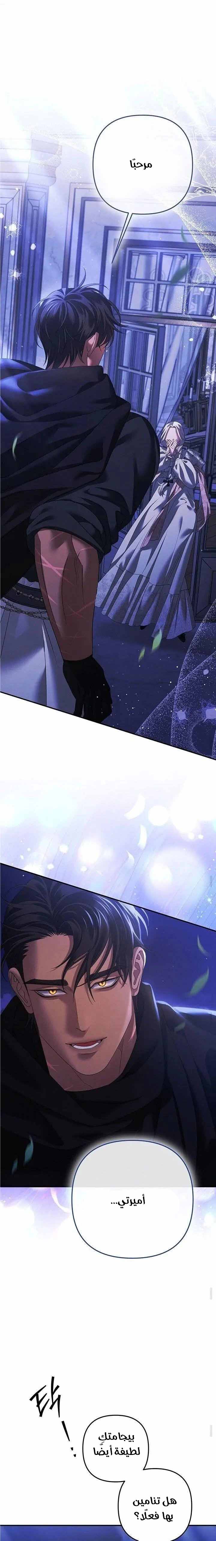 الصفحة 13