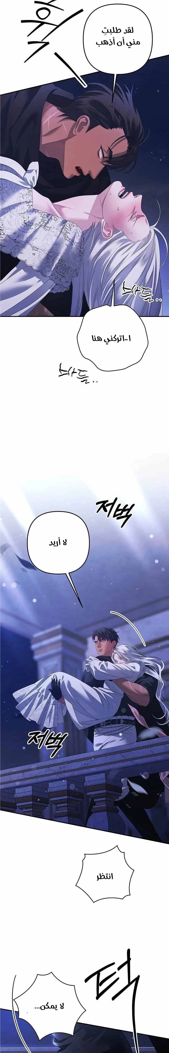 الصفحة 19