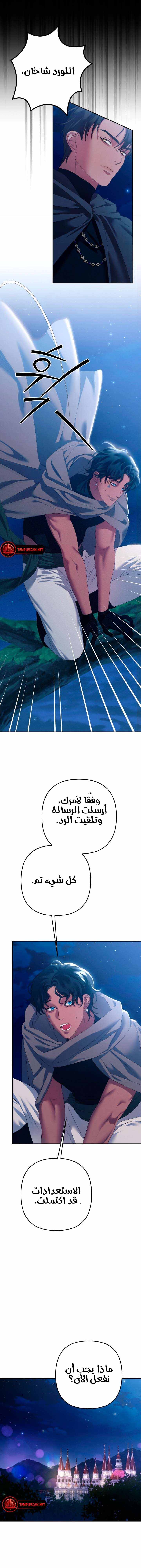 الصفحة 16