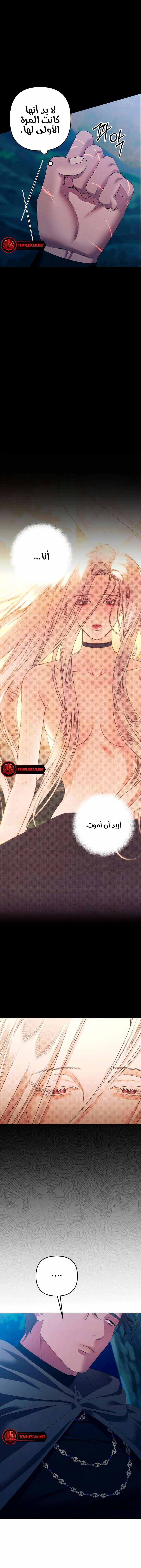 الصفحة 20
