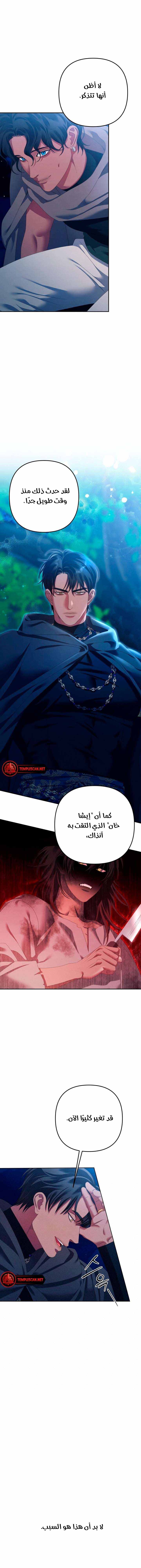 الصفحة 21