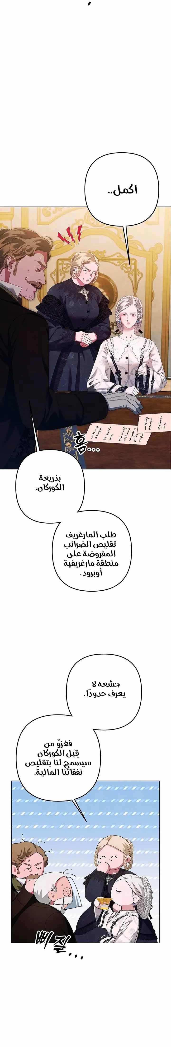 الصفحة 17