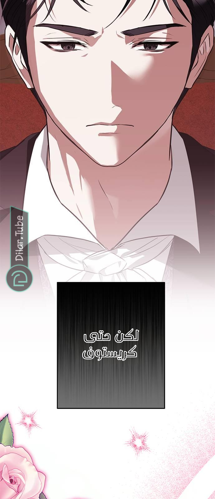 الصفحة 20