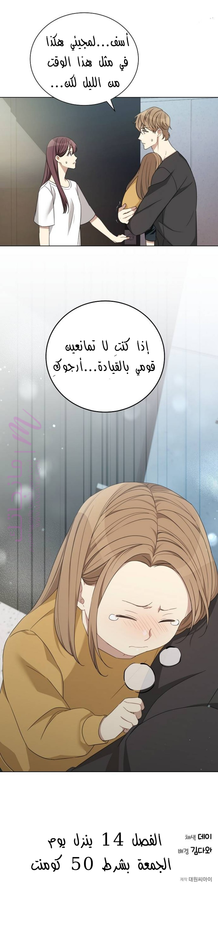 الصفحة 26