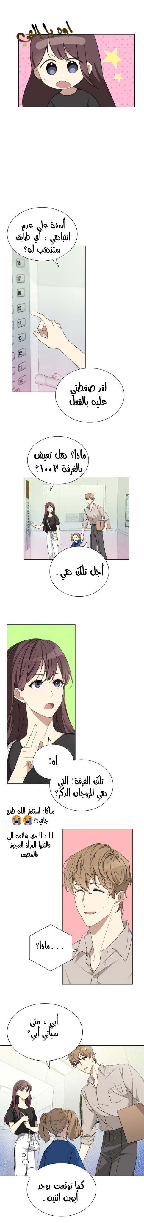 الصفحة 11