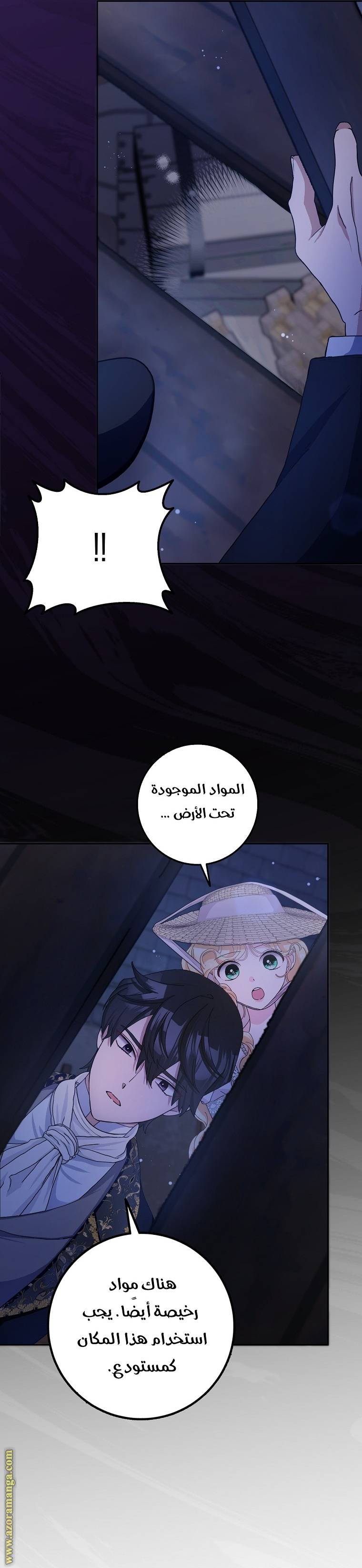 الصفحة 27