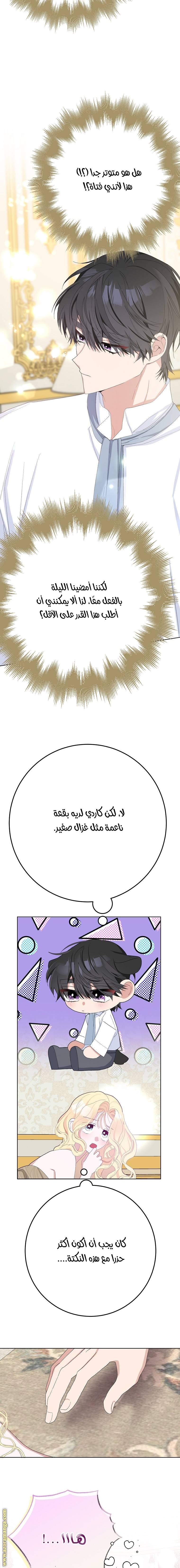 الصفحة 11