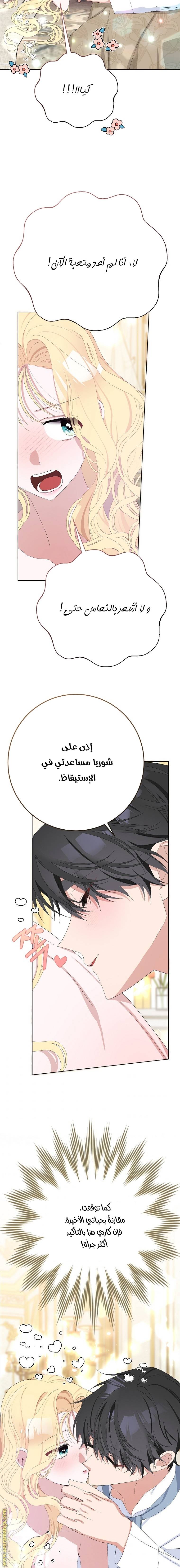 الصفحة 13