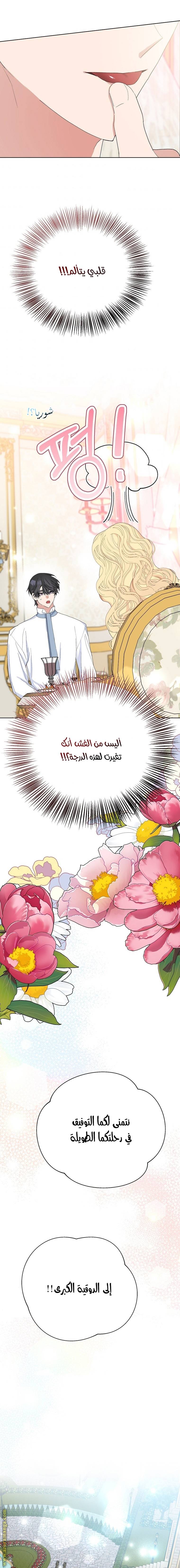 الصفحة 17
